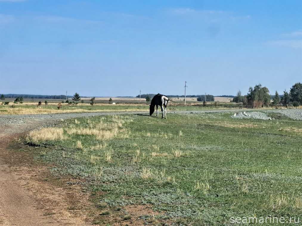 Поворот на гору Палати с трассы на Карталы